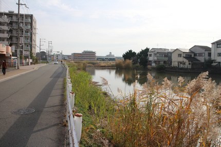 IMG_9820.jpg