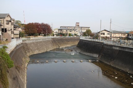 IMG_9826.jpg
