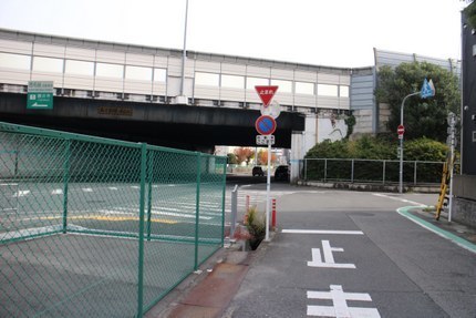 IMG_9843.jpg