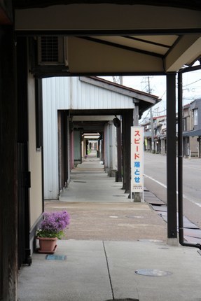 IMG_9877.jpg