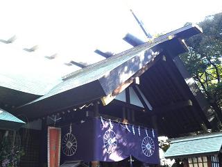 P1000034.jpg