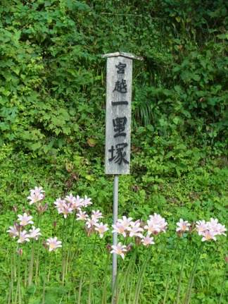 R0010610.JPG