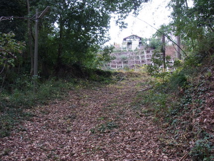 R0016054.JPG