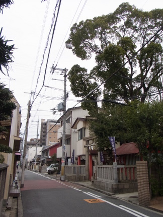R0017914.JPG