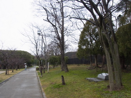 R0018011.JPG