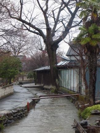 R0018539.JPG