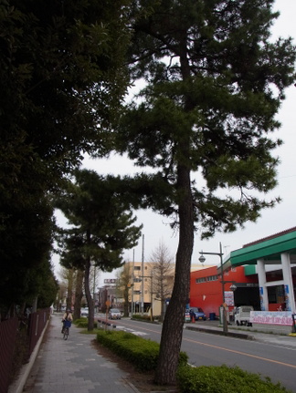 R0018869.JPG