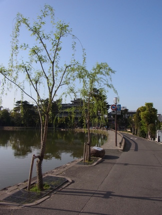 R0019313.JPG