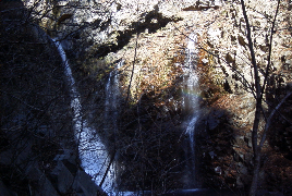 RIMG0015.jpg
