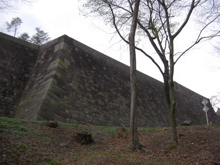 SANY0019.JPG