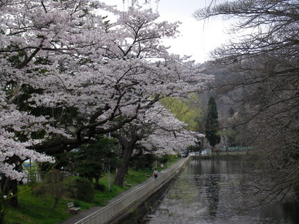 SANY0020.JPG