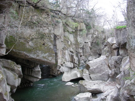 SANY0034.JPG