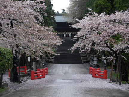 SANY0082.JPG