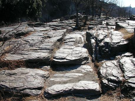 SANY2217.JPG
