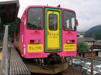SANY3193.JPG