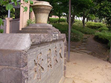 SAfwerwrwerwerY0168 we.JPG