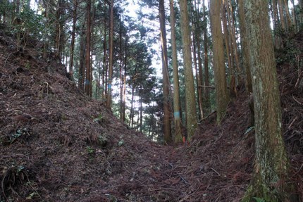 iseminamiI木津峠MG_1435.jpg