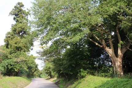 narita伊篠_IMG_9708.jpg